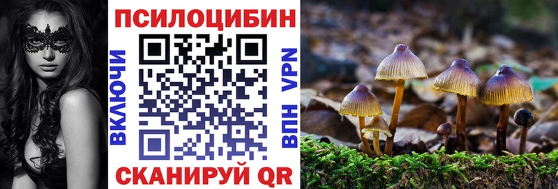 Купить  Воскресенск  Галлюциногенные грибы мухоморы 